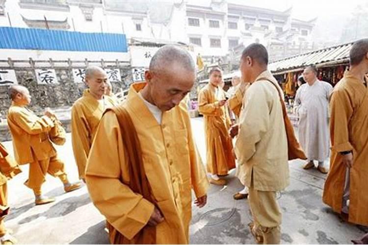 属蛇人什么时候犯太岁 蛇犯太岁带什么好？