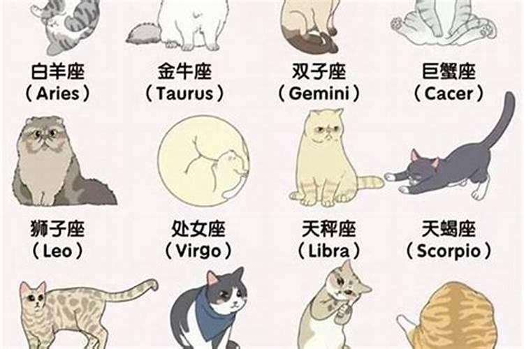 八字里有正印又有偏印,八字中偏印是什么意思