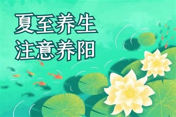 夏至有什么风俗和讲究