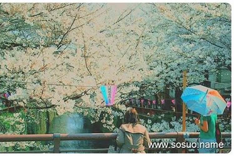 70年属狗女2025年运势及运程每月运程