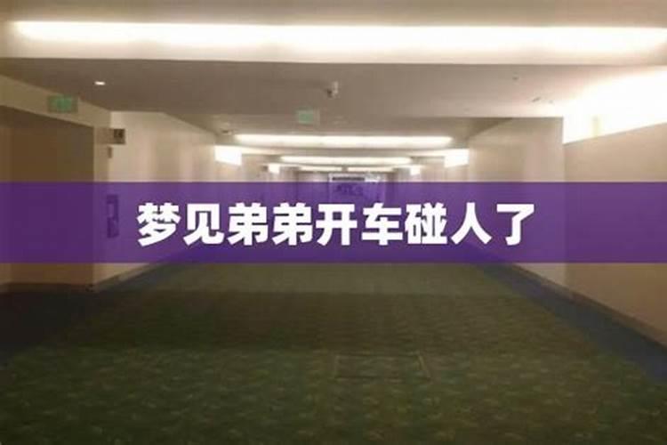 梦见弟媳到我家的预兆
