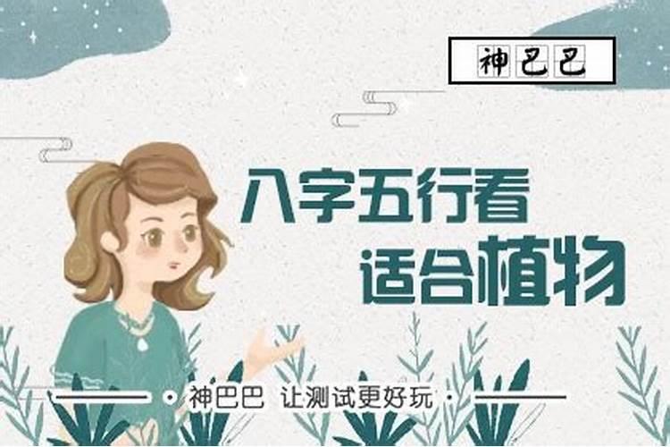 本命年真的会很倒霉吗