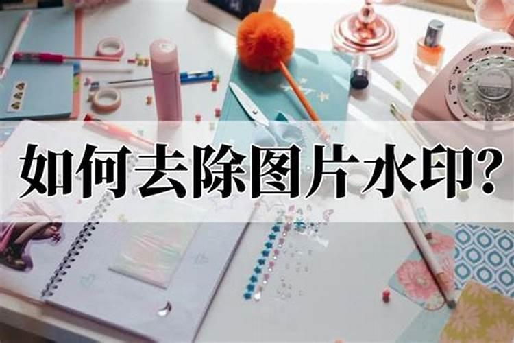 小鸟飞进家里有什么预兆,抓住后又放飞它吗？