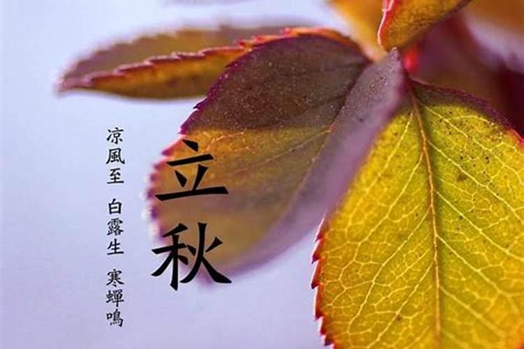 女人梦见顺产生下男孩预示着什么