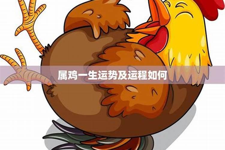 69年十月廿六出生一生运程