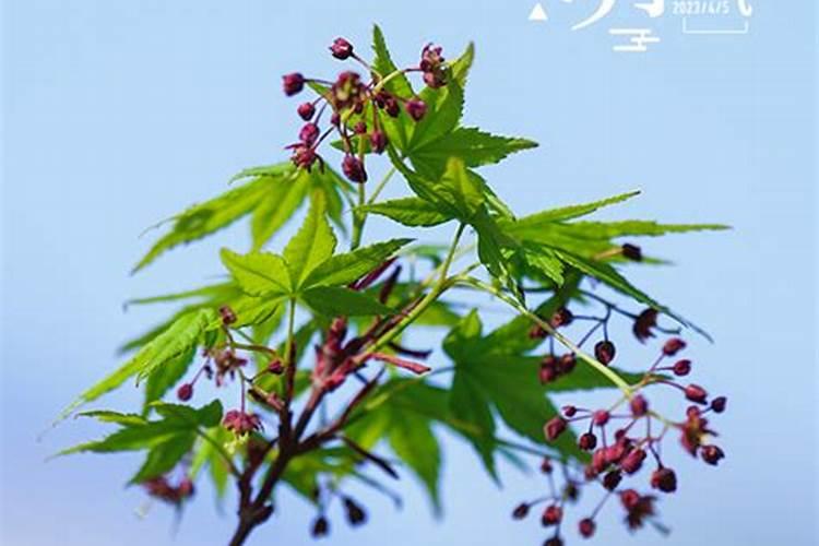 佛教中什么经是超度用的