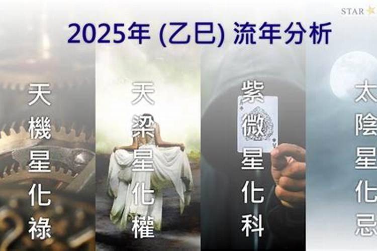 2025年属龙人运势