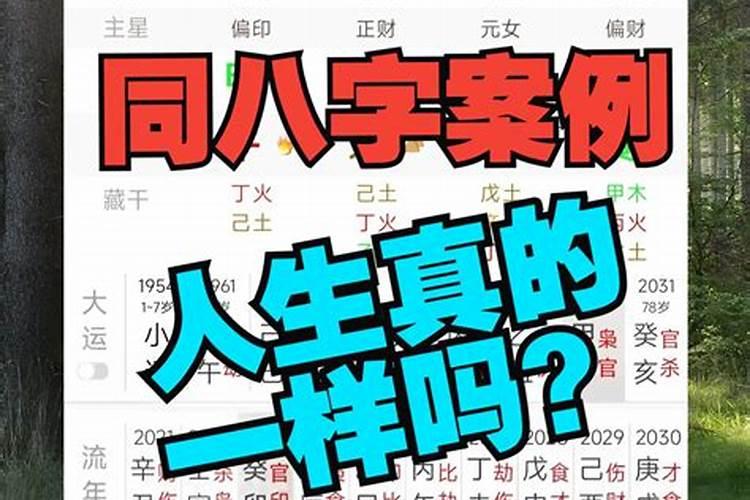 一模一样的八字为何命不一样