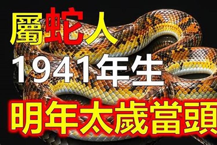 2025属蛇人的全年运势如何