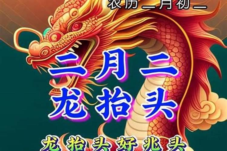 蜥蜴进家风水好不好