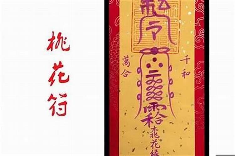 生肖猪1971年2025年运势如何 生肖猪1971年2025年全年运势