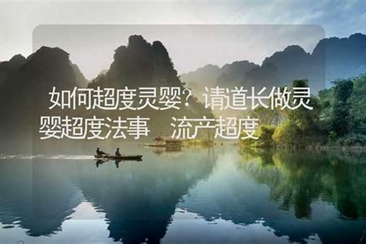 蛇和狗婚姻分析天生一对 三观不合矛盾多