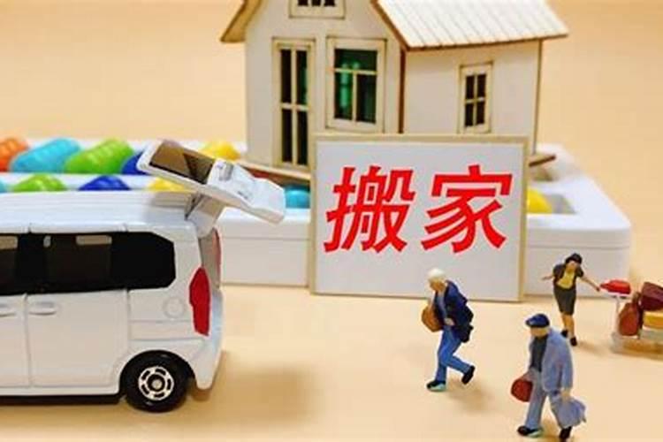 乌龟能一直放在水里吗？