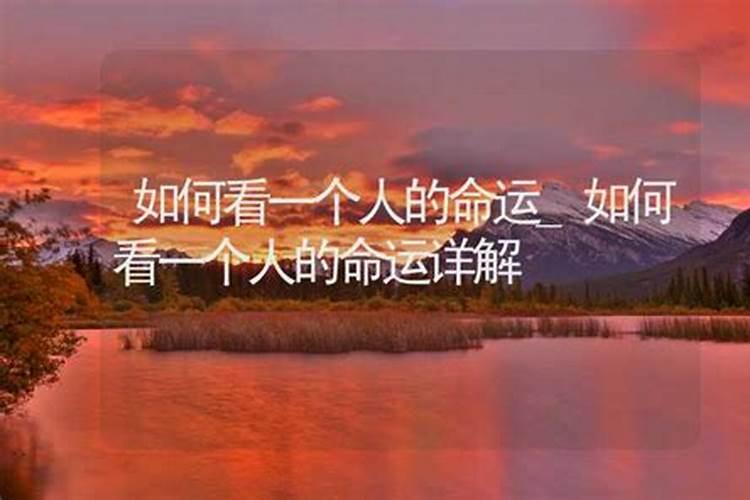 女人梦见蛇什么预兆周公解梦