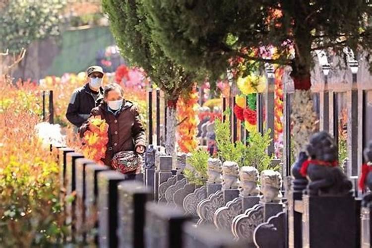 请问一下清明节用鲜花是什么原因