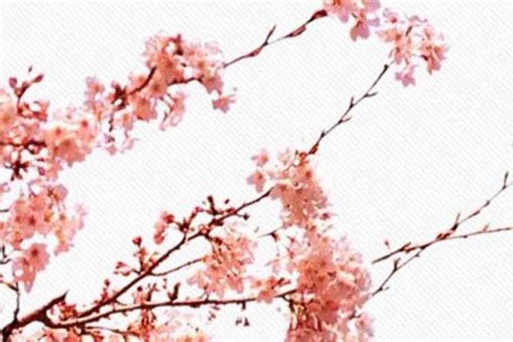 老公桃花运旺如何破解