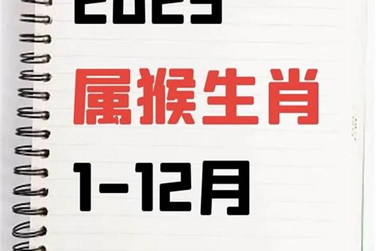 92年属猴人在2025年的详细运势
