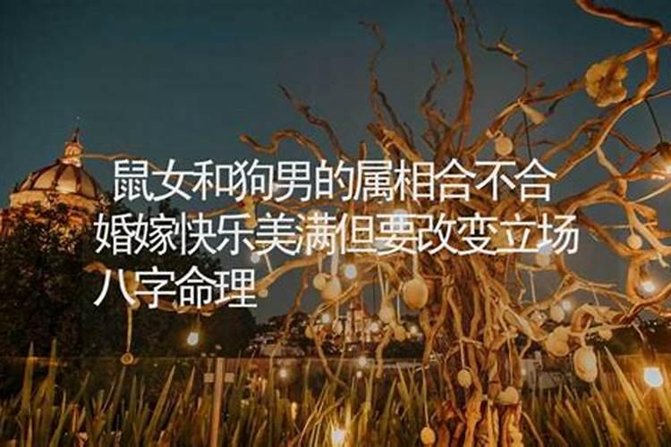 有没有八字不合在一起幸福的婚姻,有八字不合但婚姻美满的吗 天涯