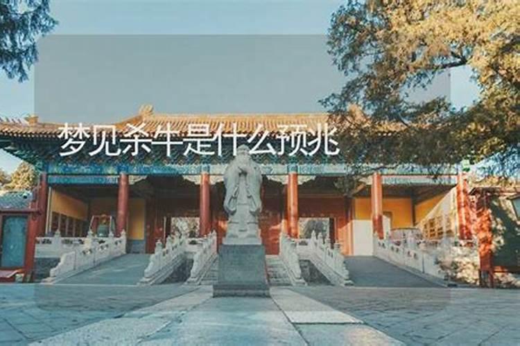 梦到杀牛 梦见杀牛是什么预兆