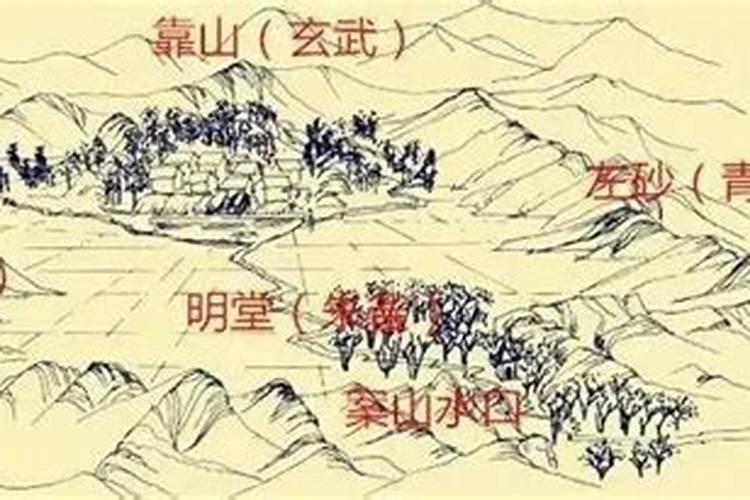 什么是童子命？