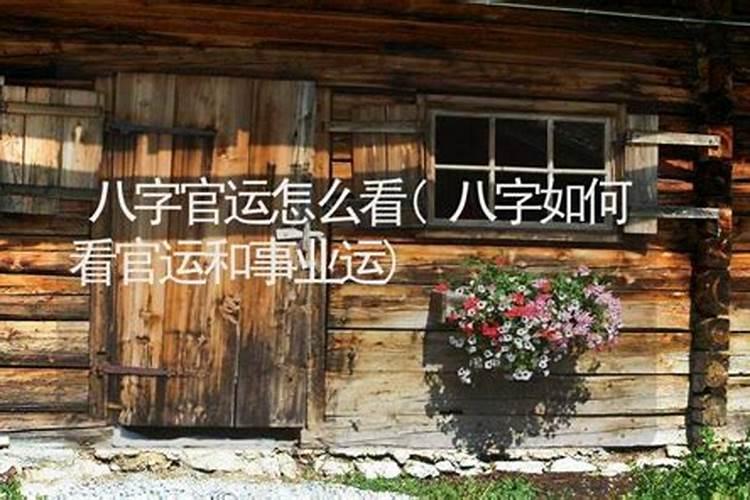 风水怎样开官运怎么样啊 ？