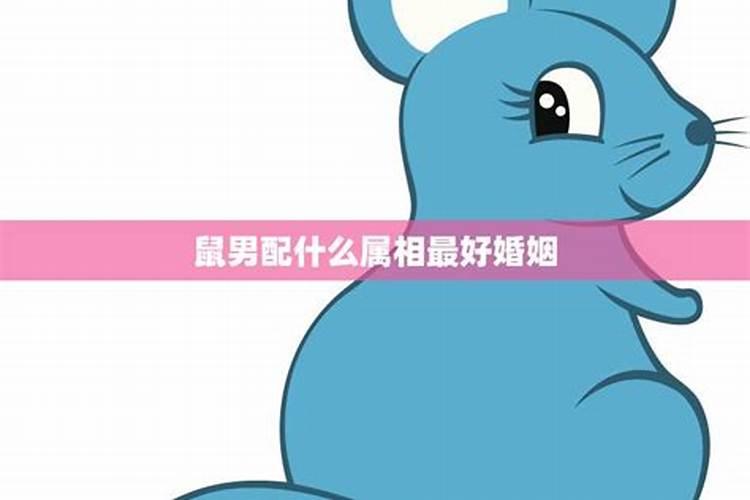 属鼠婚配哪个属相最好