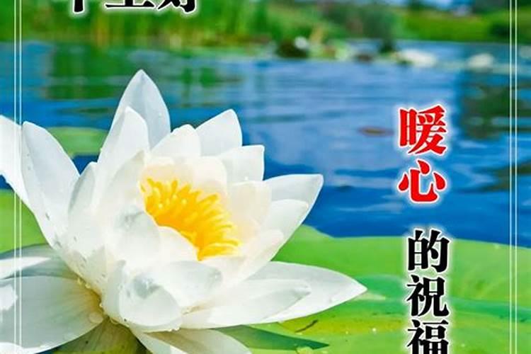 男1990属马阴历正月初二的命好不好