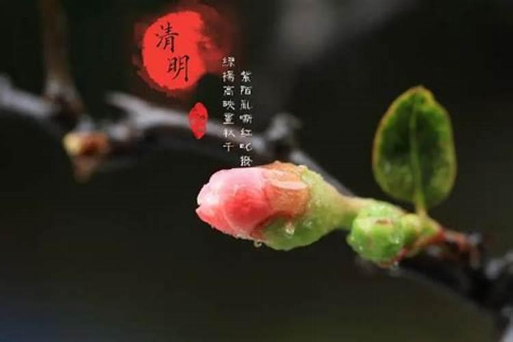 清明节女子为何不能上坟？
