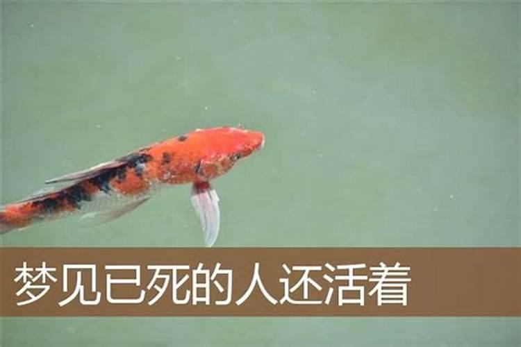女人梦见自己骑马 女人梦见自己骑马代表什么