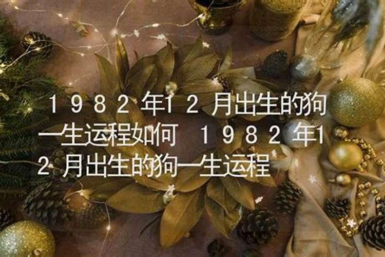 属蛇六月份运势
