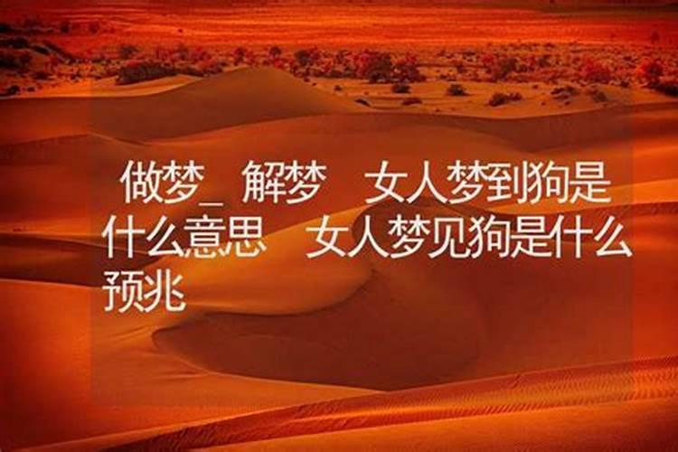 梦见看见狗是什么意思？