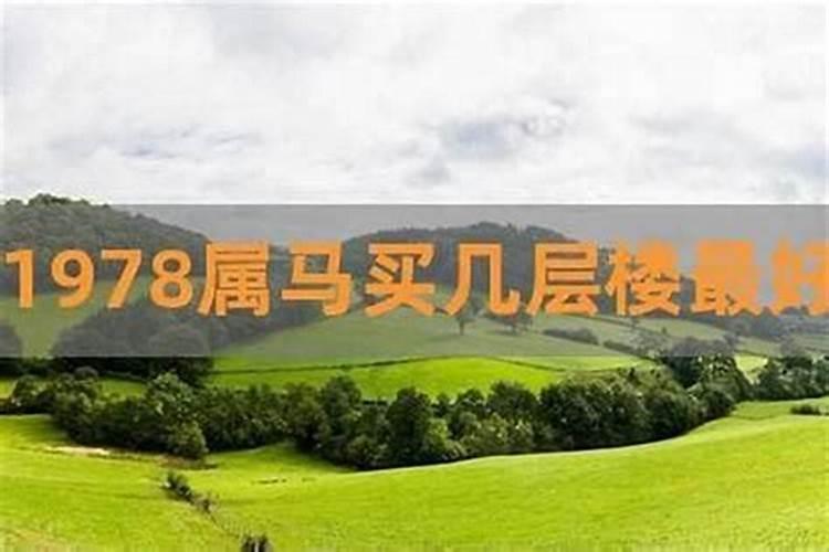 属马人最忌三个楼层