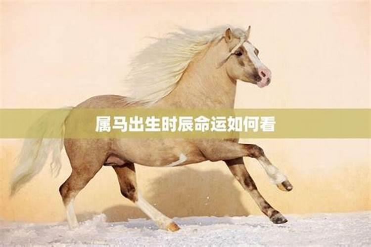 属马女2025每月运势