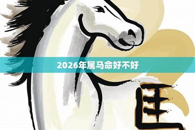 一九六六年属马今年运气如何
