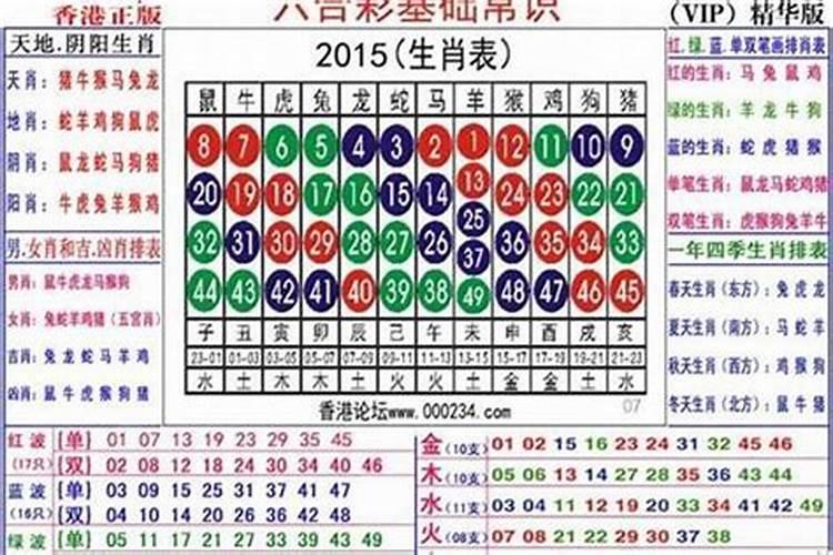 我家端午节是怎么过的绘画