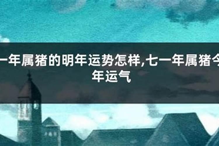 办公室2024年工作总结及2025年工作计划
