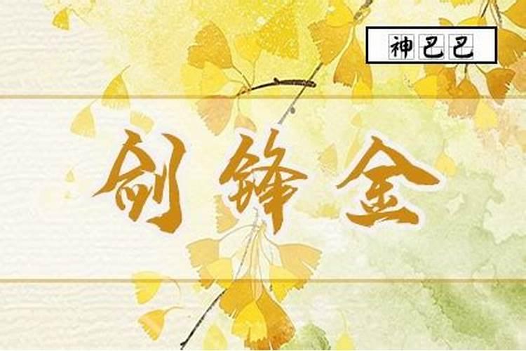 猴人见鼠年逐月的运势,鼠年猴子的运势如何