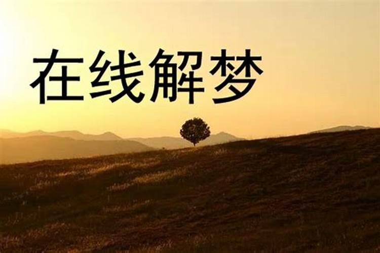 梦见主管要离职