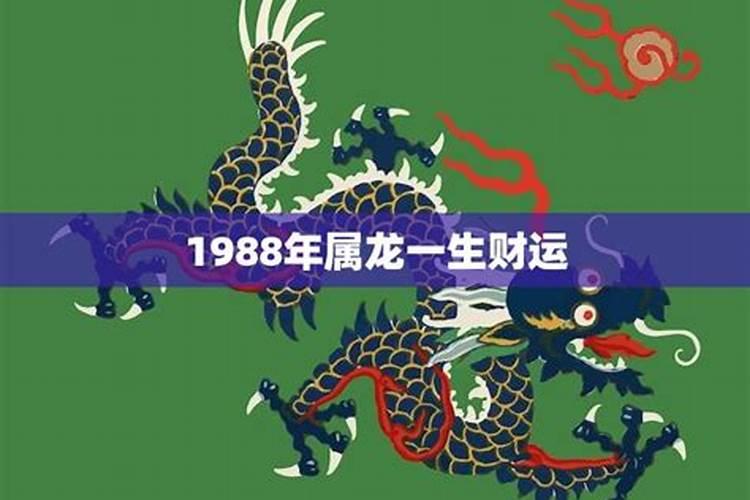 1988年龙哪年开始转运