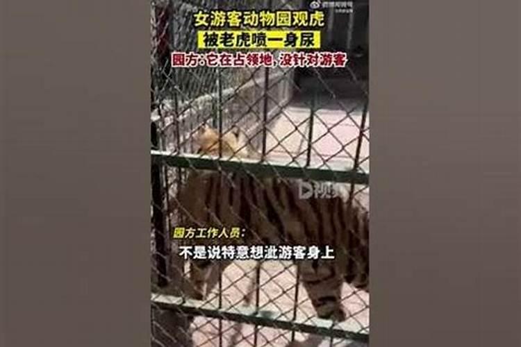 卯时农历1981年7月19日卯时人的命运