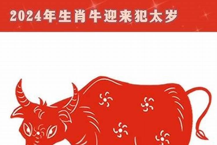 破太岁的最佳解决方法属牛