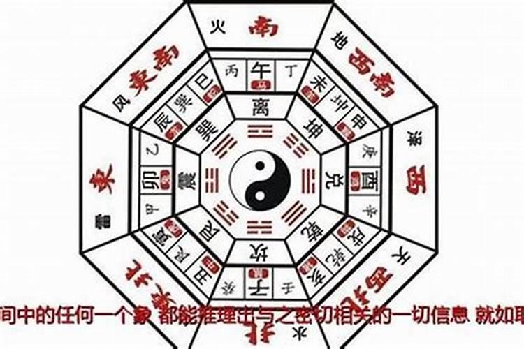 地下挖出来的“太岁”究竟是什么东西？为什么说“太岁”违背了自然规律...