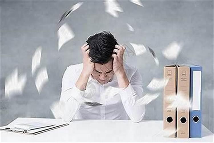 属狗和什么属相配比较好,与狗白头偕老的生肖有哪些？