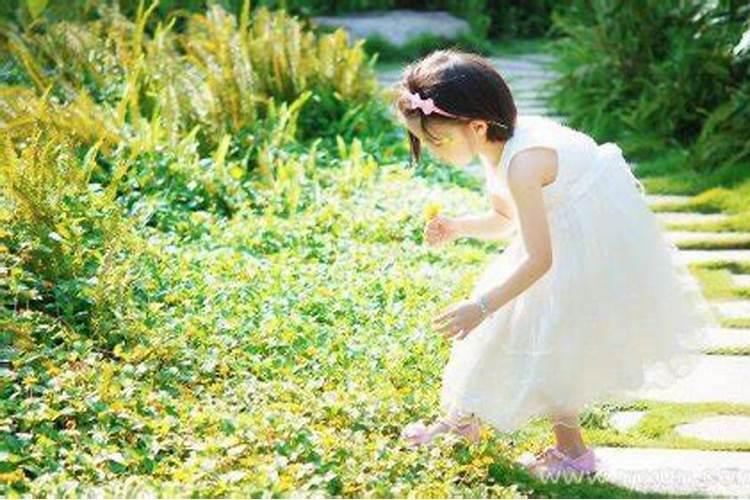1986属虎女2025年每月运势