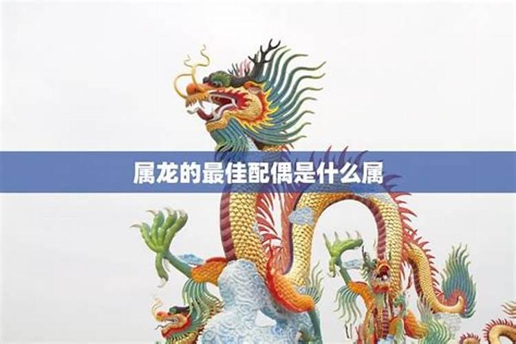 属龙的人最喜欢的属相,属龙的人和什么属相最配