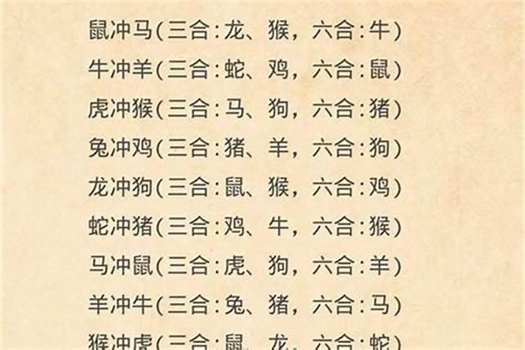 属牛与属马