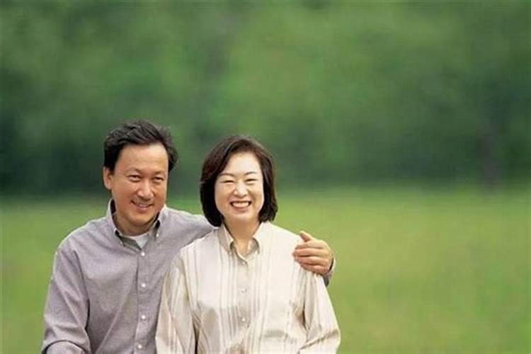 1982年属狗男2024年的运势和财运