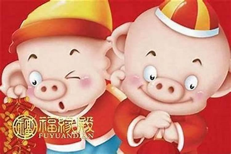 71年属猪男在2025年的全年运势