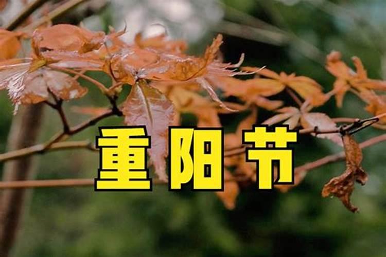 算命中比肩是什么意思？