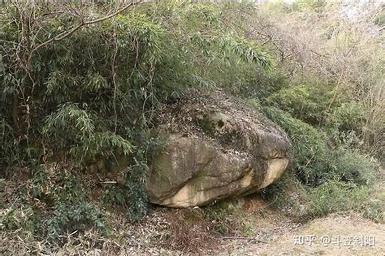 梦见邻居在煮饭